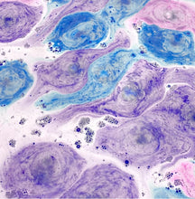 Load image into Gallery viewer, Happy Hippo Gumdrop Mini Bubble Bombs